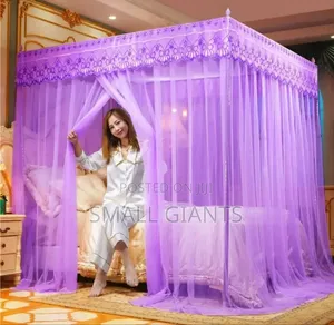 Romantic Lacedream Canopy Mosquito Net