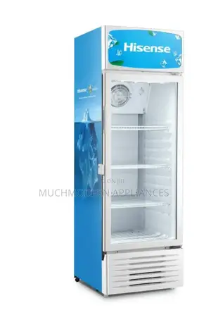 Hisense 300L Chiller