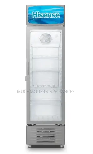 Hisense 370 Litres Chiller