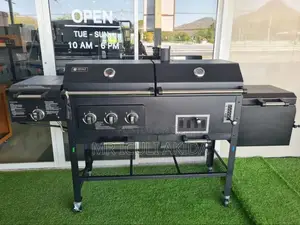 Commercial Kebab Barbecue Gas Charcoal Smokeless Grill
