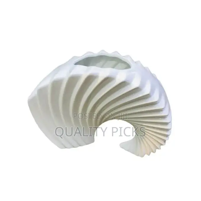 Simple and Stylish Creative Curved Shell Mix Vase