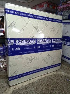 Spring Mattress Double Layer 4x6x10 Inches Rosefoam