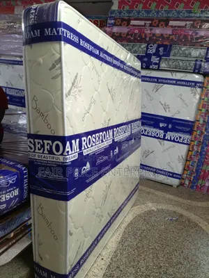 Spring Mattress Double Layer 4x6x10 Inches Rosefoam