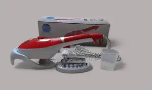 Portable Handheld Garment Steaming Iron Brush