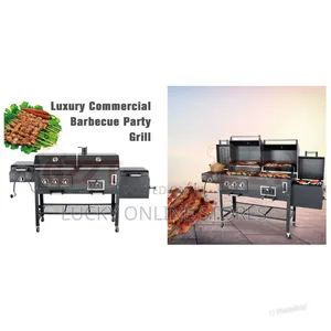 Luxury Commercial Barbecue Grill
