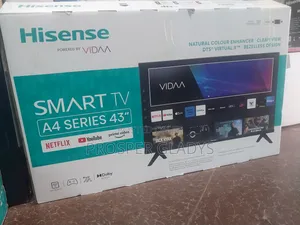 Hisense 43 A4 Series Smart Digital Flat Screen Flameless.