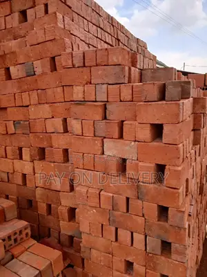 Oven Firing(Fire Bricks)