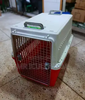 Biggest Size Plastic Pet/Dog Transportation Cage Box