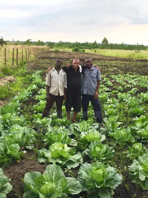 7 Acres Fertile Land With Fish Pond