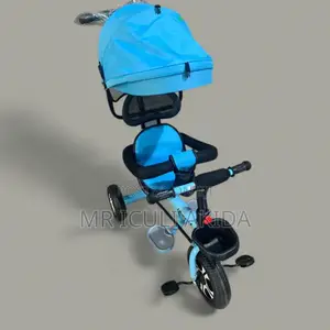 Detachable Kids Tricycle With Canopy Push Bar