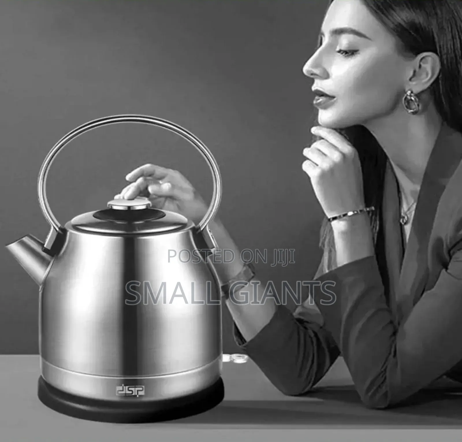 DSP Stainless Steel Electric Kettle