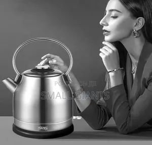 DSP Stainless Steel Electric Kettle