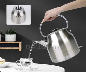 DSP Stainless Steel Electric Kettle