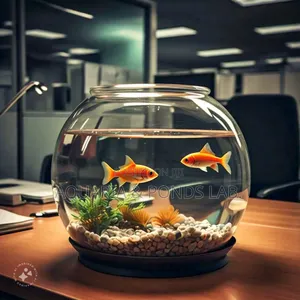 Cheap Fish Bowl