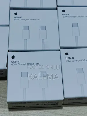 USB C 60W Charge Cable