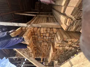 Cartoons. In 4x4 to 12 Ft