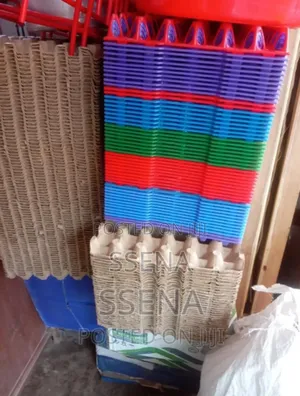 Plastic Egg Trays