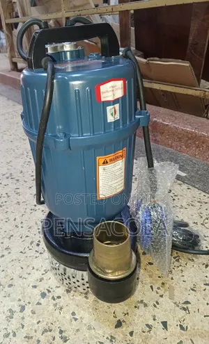 Water Pump 2" 40m