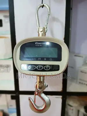 300kg Crane Hanging Comercial Remote Digital Weighing Scale