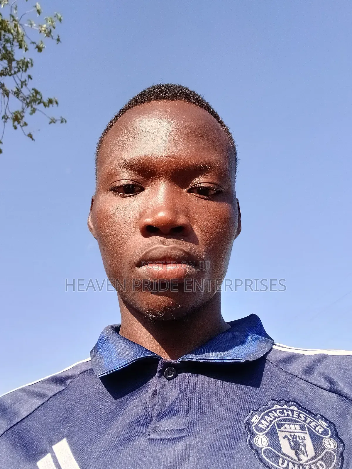 Sales Agent