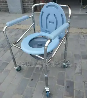 Commode Set With Casters(Adult Potty)