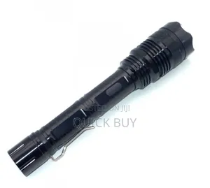 Premium 1108 Type Multi-functional Stun And Flash Light