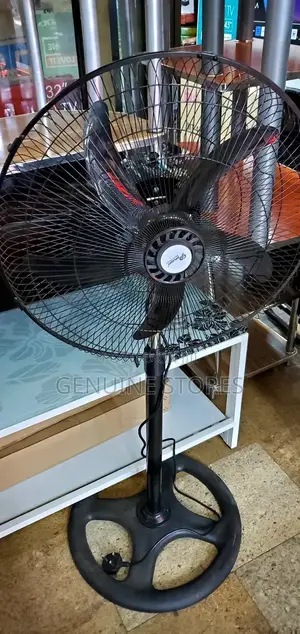 Electric Stand Fan