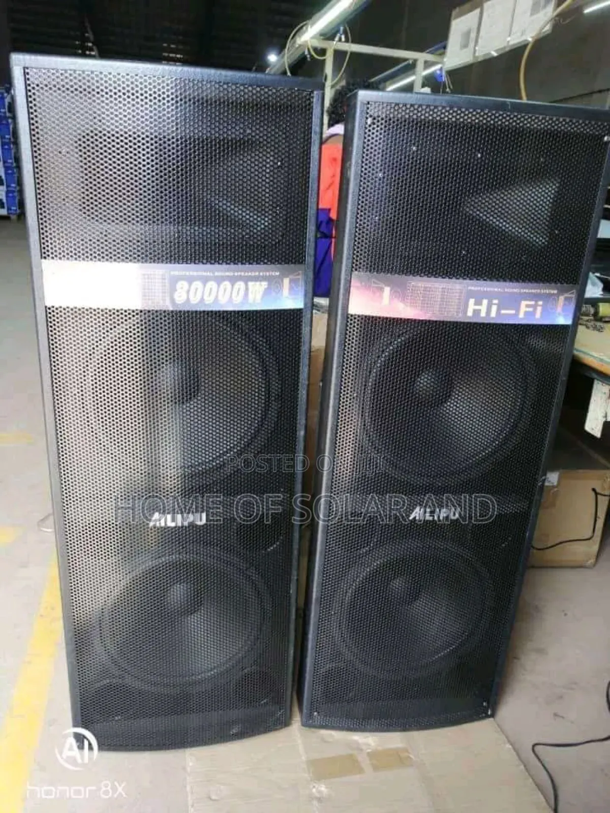 Double Alipu Speaker