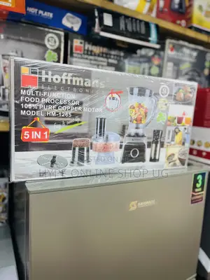 Hoffmans Electric Blender 5in1