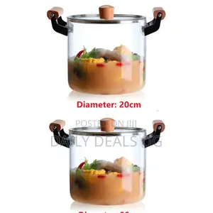 Glass Food Steamer