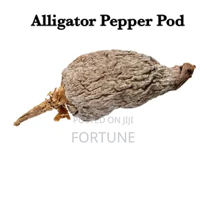 Alligator Pepper 1 Pod
