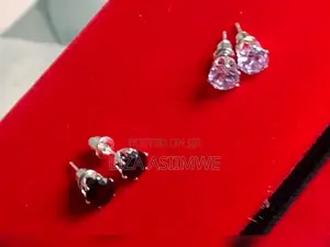 Iced Out Men’S Earpins