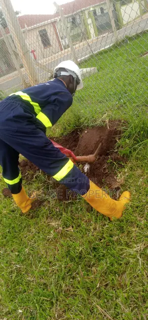 Pest Control and Fumigation Services