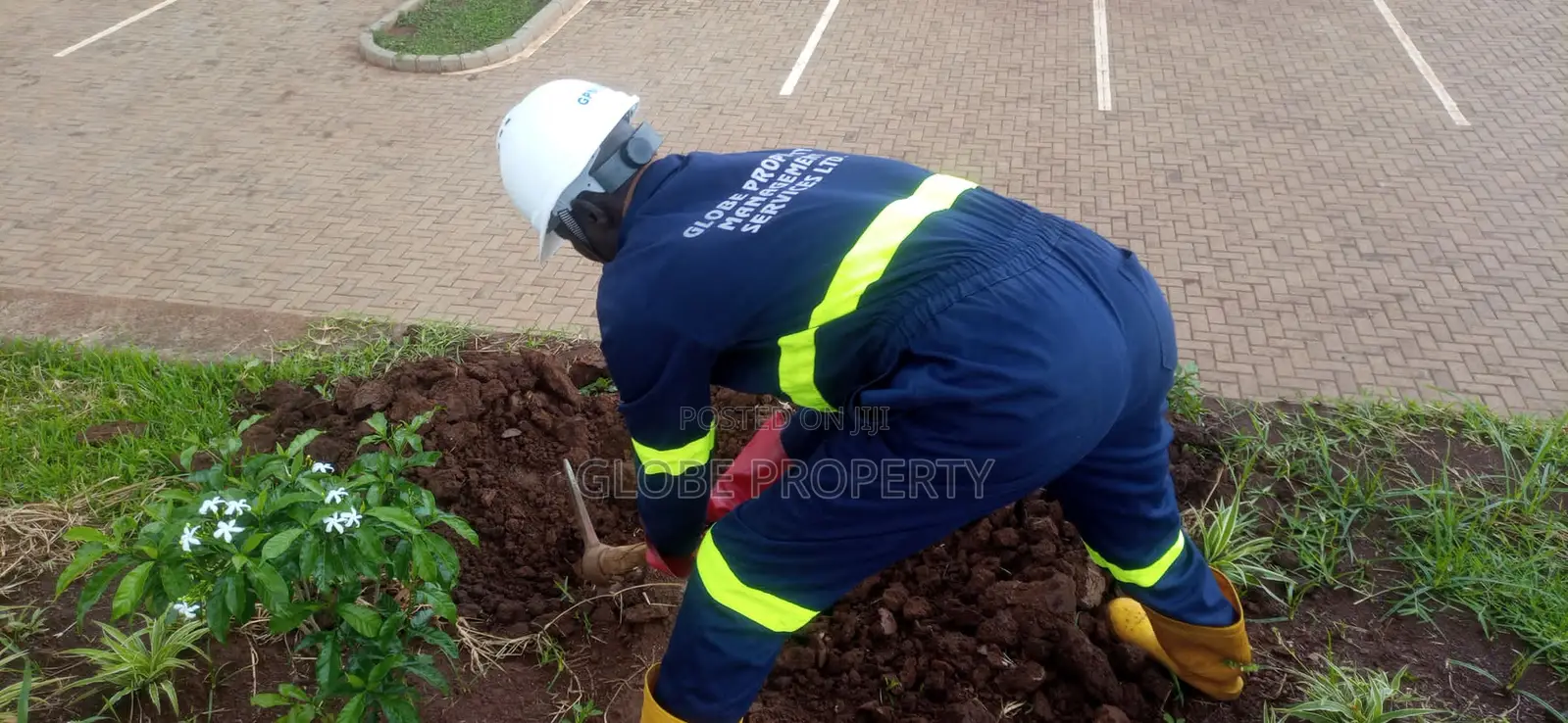 Pest Control and Fumigation Services
