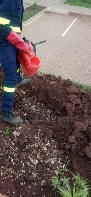 Pest Control and Fumigation Services