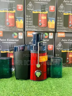 RAF 1000w Low Noise Electric Juice Extractor
