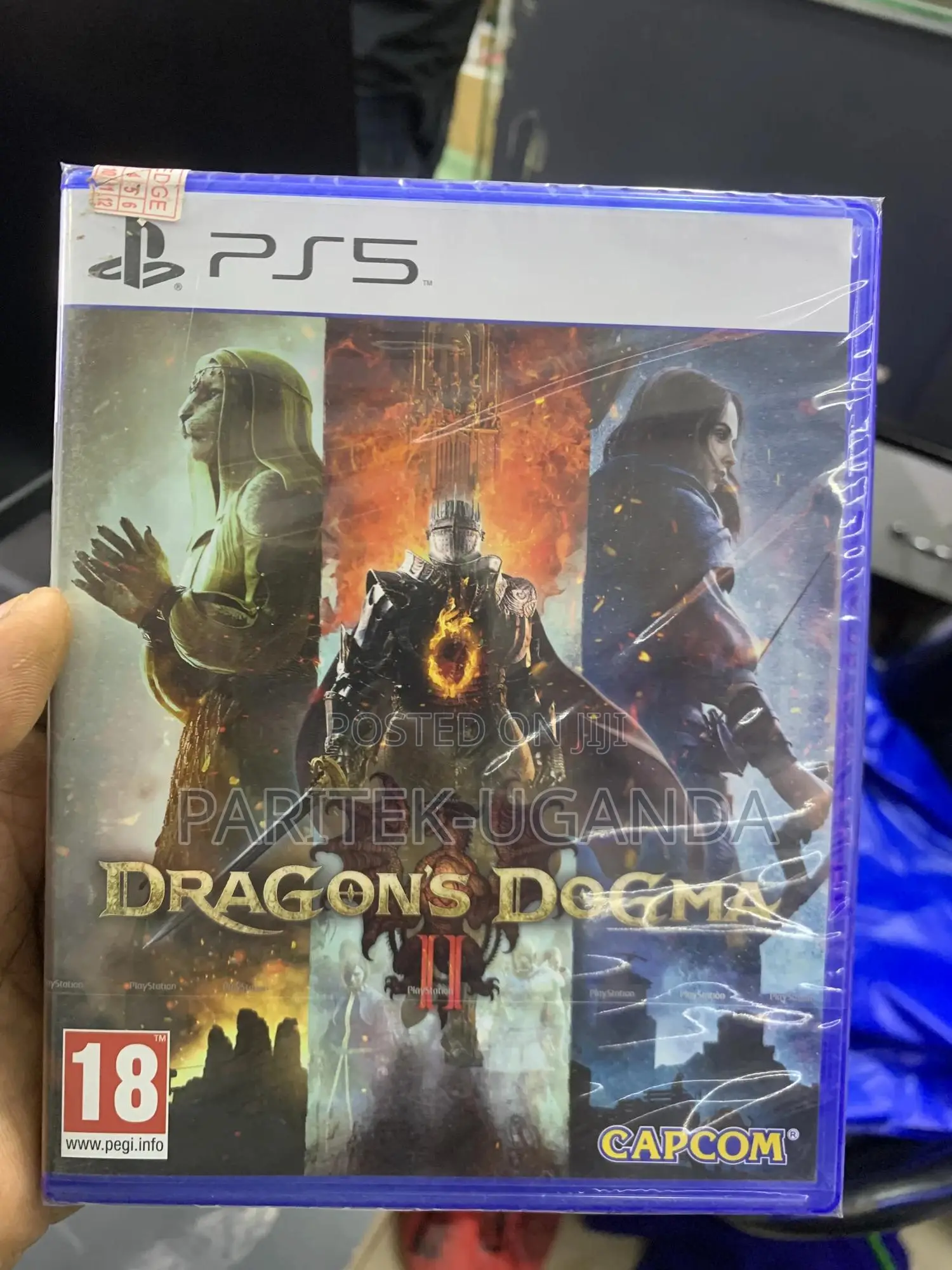 Dragon's Dogma 2