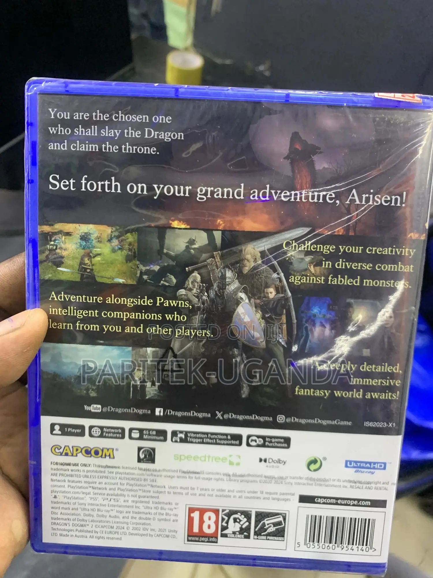 Dragon's Dogma 2