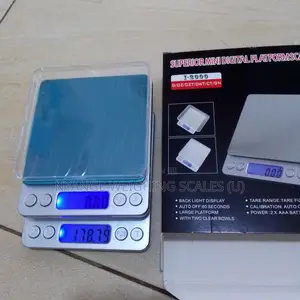 Dc02 Digital Mineral Portable Scale