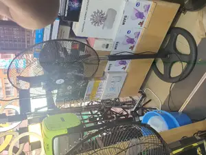 Oscillating Pedestal Fan