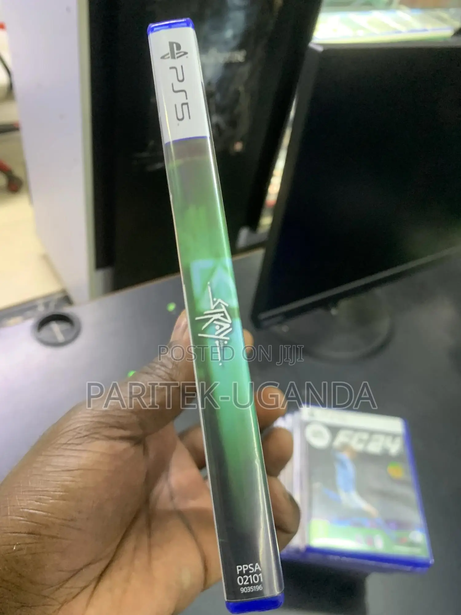 Stray Ps 5
