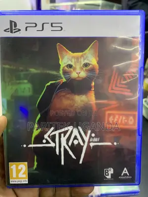 Stray Ps 5