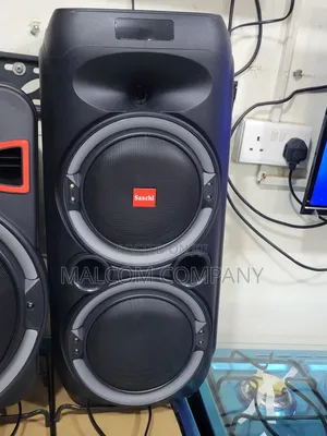 Saachi Indoor and Outdoor Speakers.