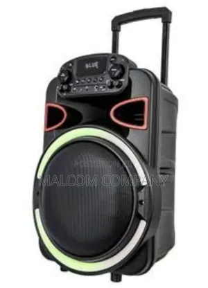 Saachi Outdoor Trolly Speaker Bluetooth/Fm With Wireless Mic