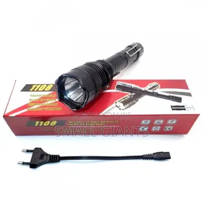 Multifunctional Stun And Flashlight