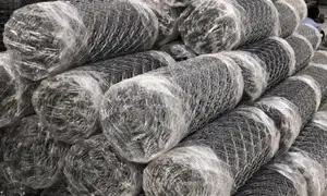 Chain Link ( China )