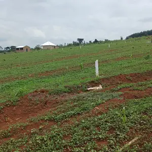 Veryprime New Estate With Ready Private Title Onsale Katende