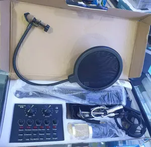 Professional Condenser Microphones
