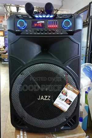 Jazz Public Speaker With Two Microphones