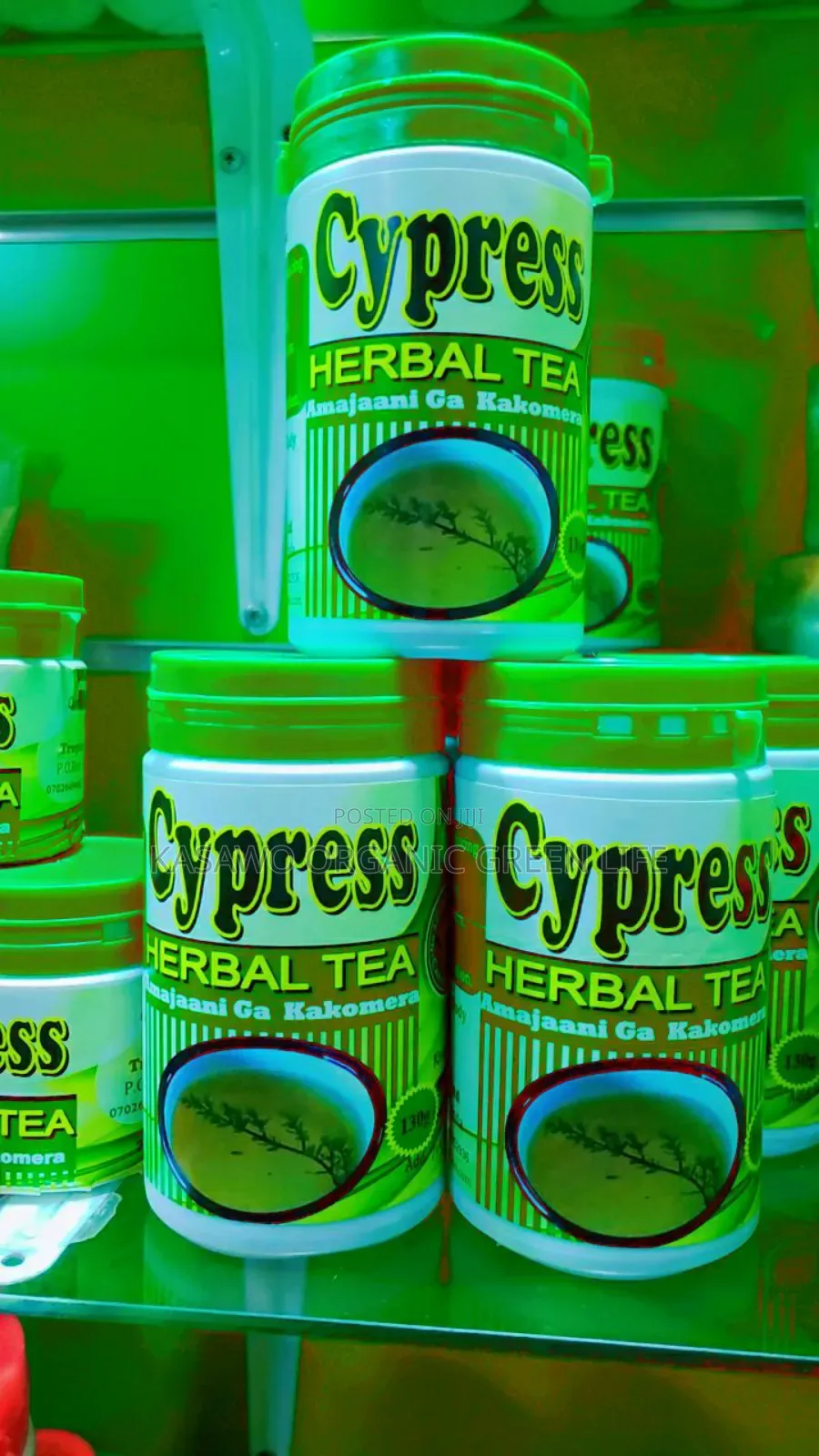 Cypress Leaf Tea
